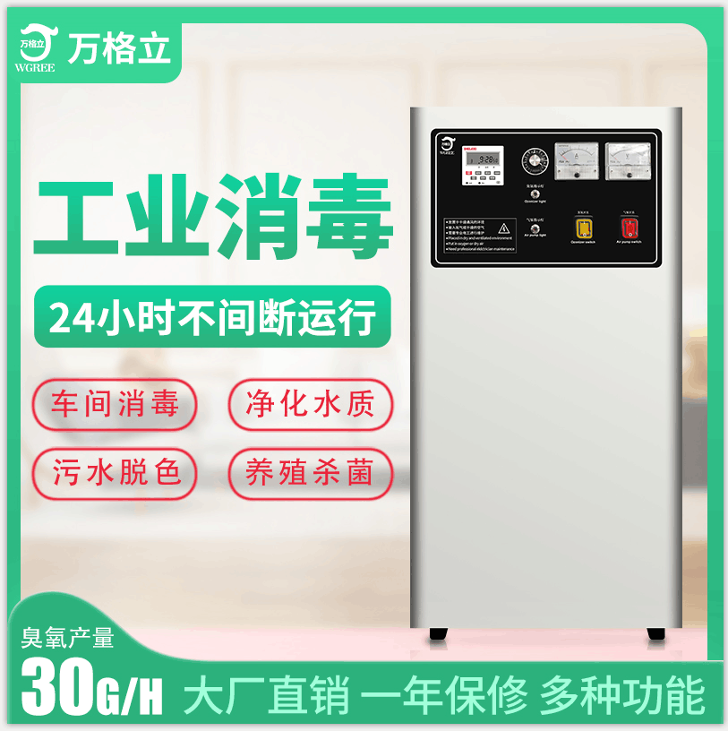 風冷30G臭氧機.png